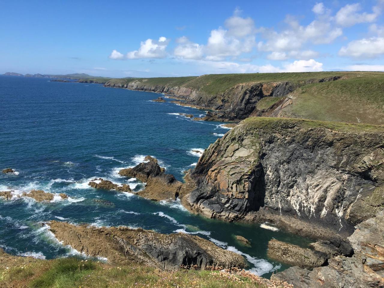 The Cambrian Inn Solva Eksteriør billede