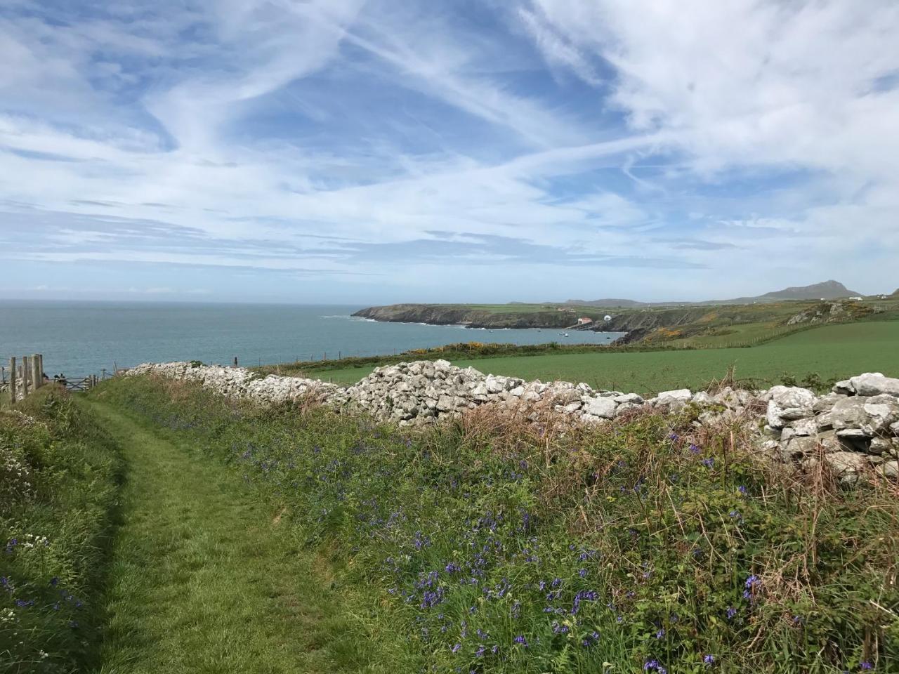The Cambrian Inn Solva Eksteriør billede